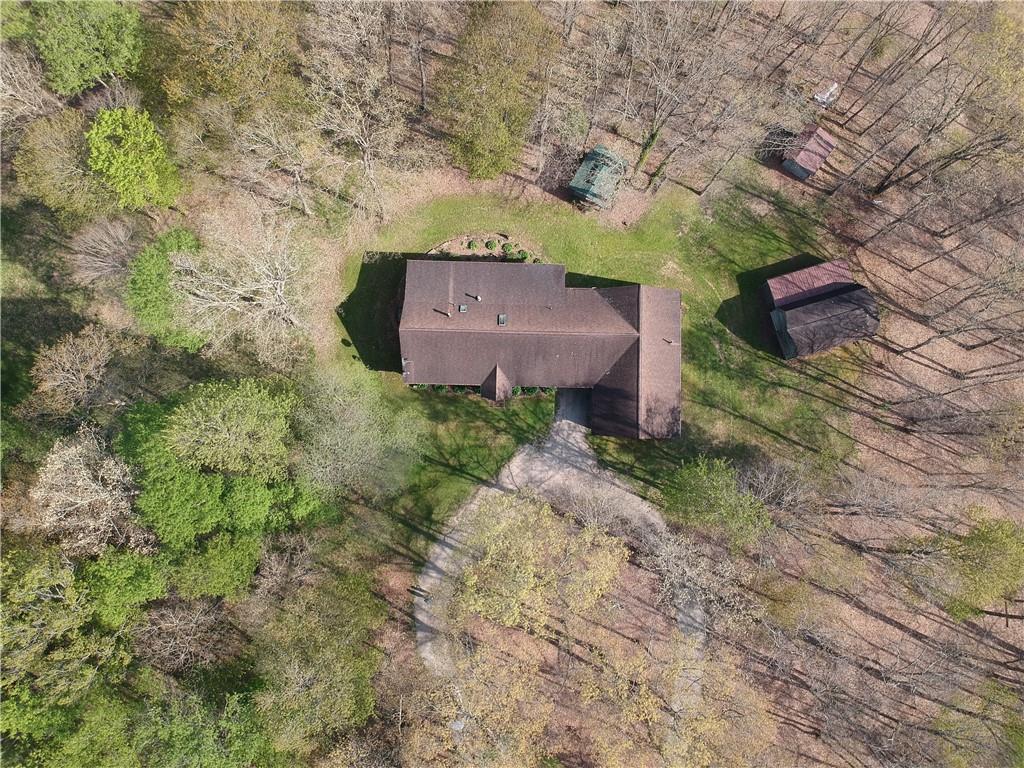 915 Quebec Road Farmington, PA 15437 - Photo 6 of 41 a view of a wooden wall with large trees