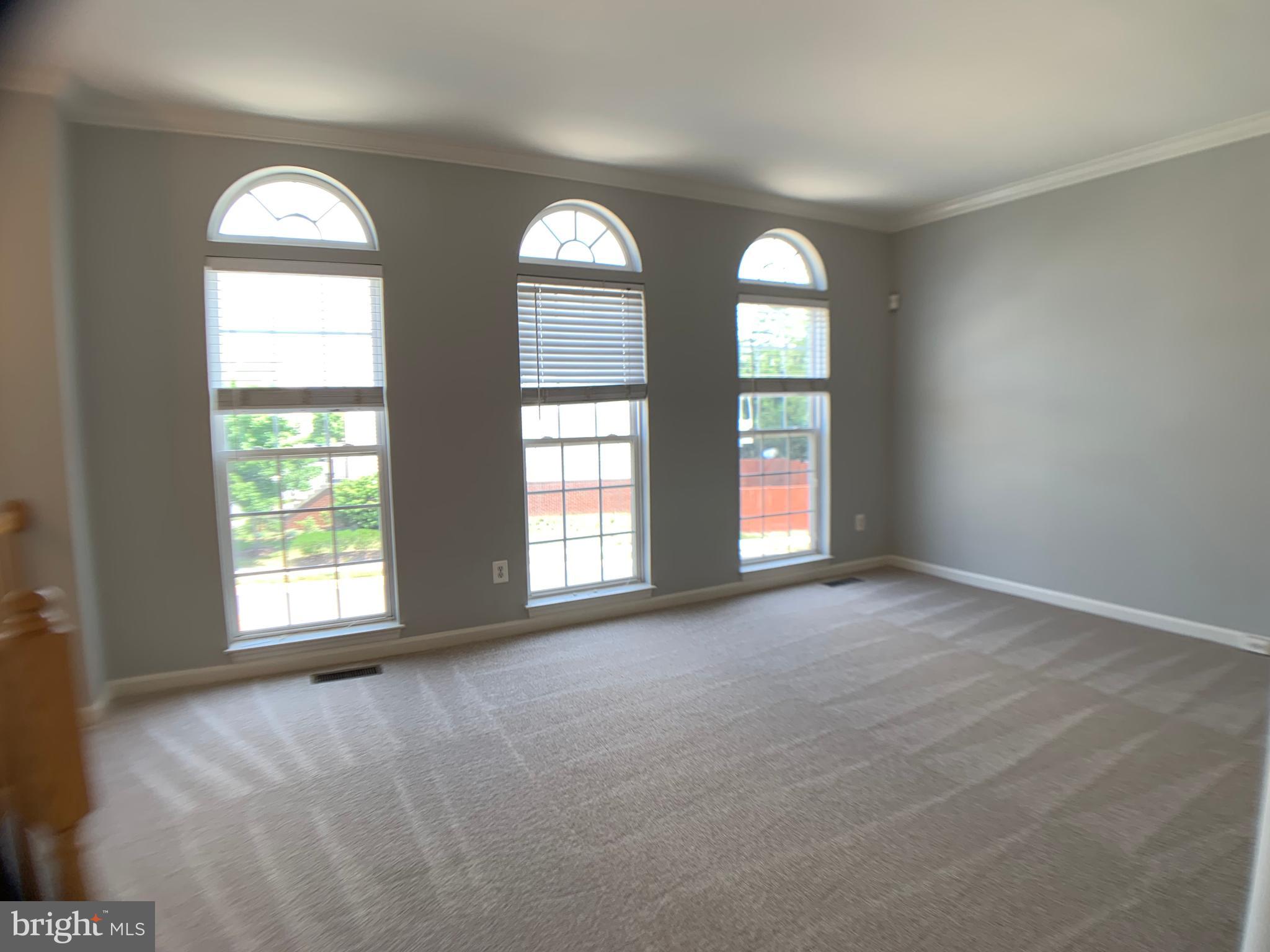 43397 Allisons Ridge Terrace Ashburn, VA 20148 - Photo 3 of 42 Freshly painted and new carpeting!