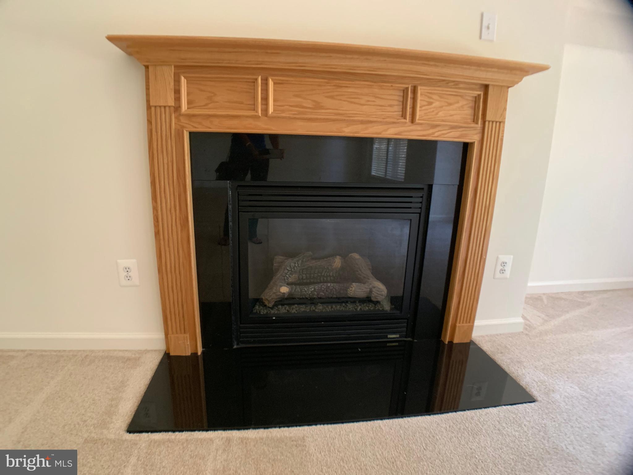 43397 Allisons Ridge Terrace Ashburn, VA 20148 - Photo 23 of 42 Gas fireplace