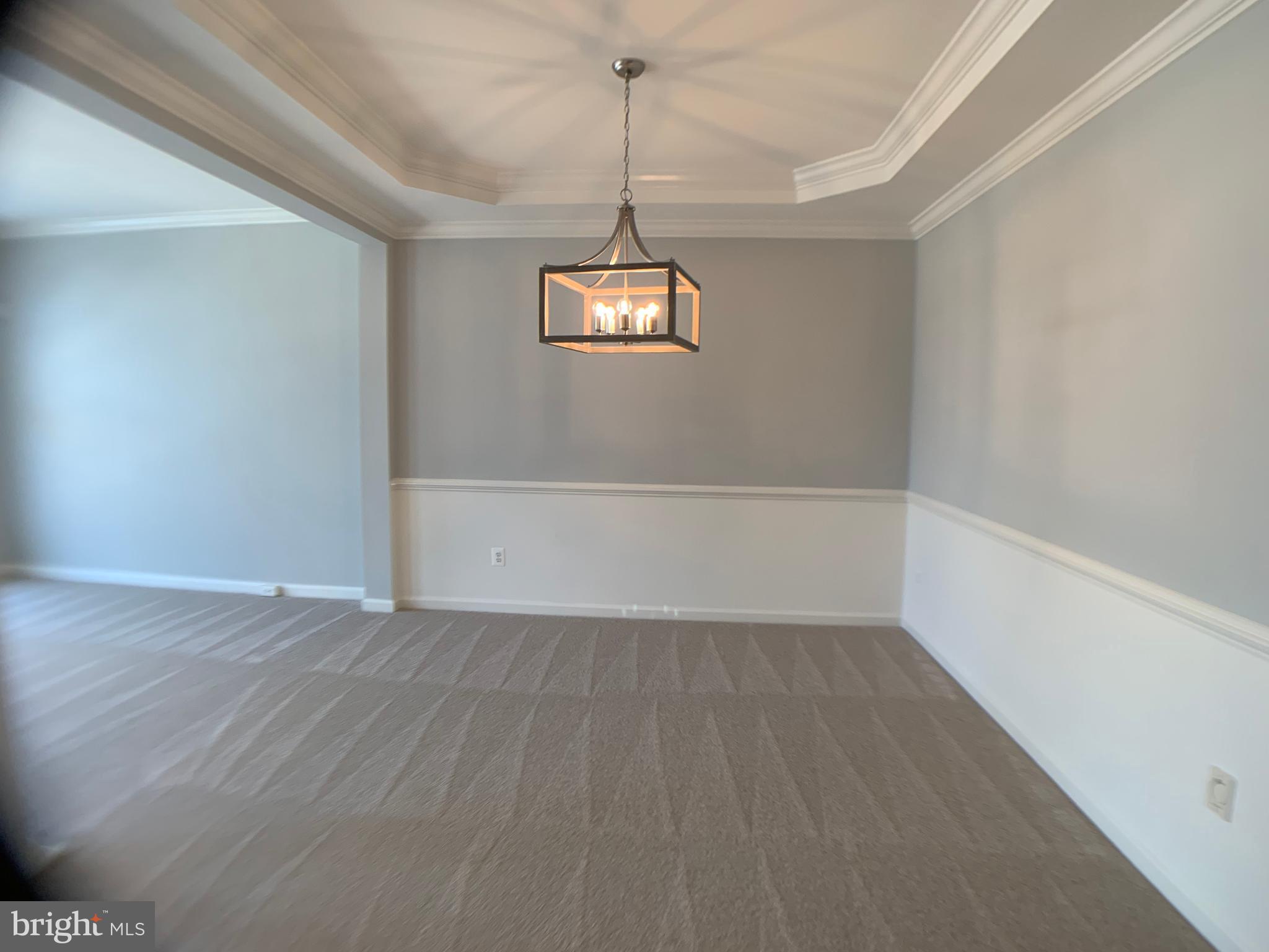 43397 Allisons Ridge Terrace Ashburn, VA 20148 - Photo 4 of 42 New light fixtures