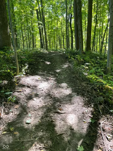 $800,000 | 29 Point Lane, Arcadia, IN 46030