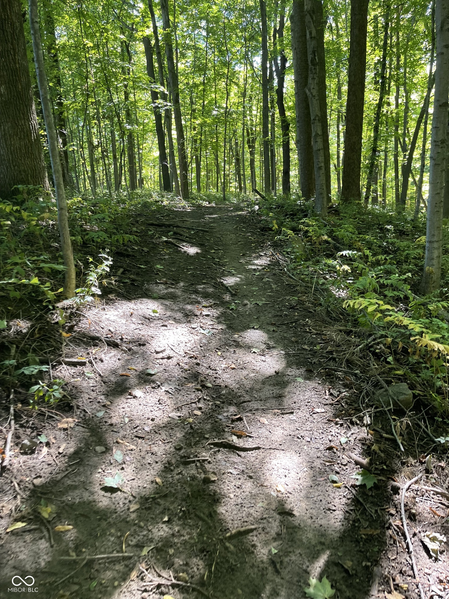 29 Point Lane Arcadia, IN 46030 - Photo 27 of 27