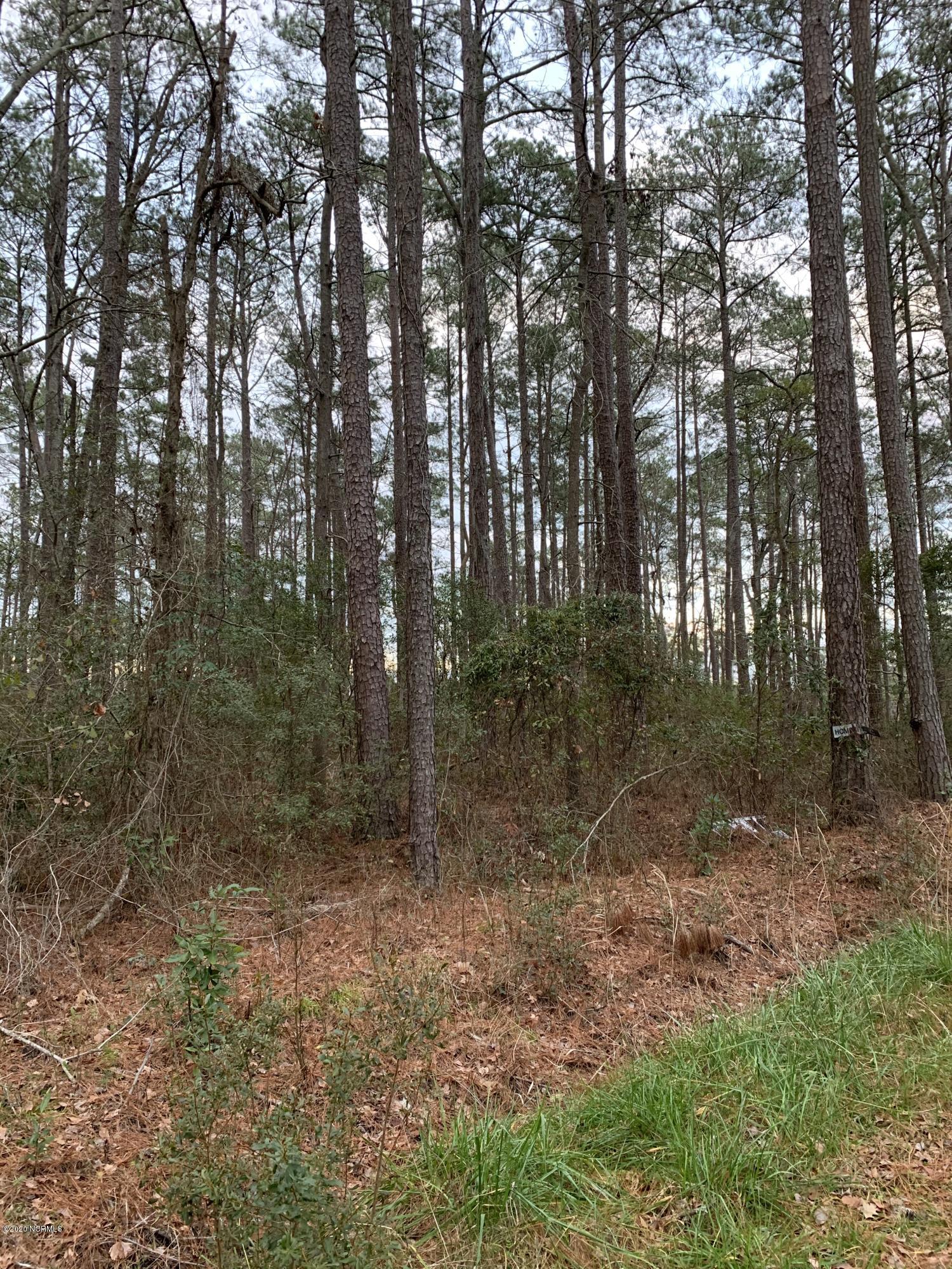 Lot # State Road Aurora, NC 27806 - Photo 4 of 10 IMG_1824