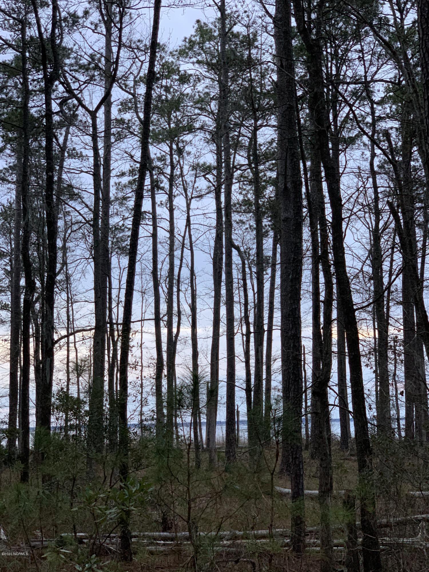 Lot # State Road Aurora, NC 27806 - Photo 6 of 10 IMG_1827