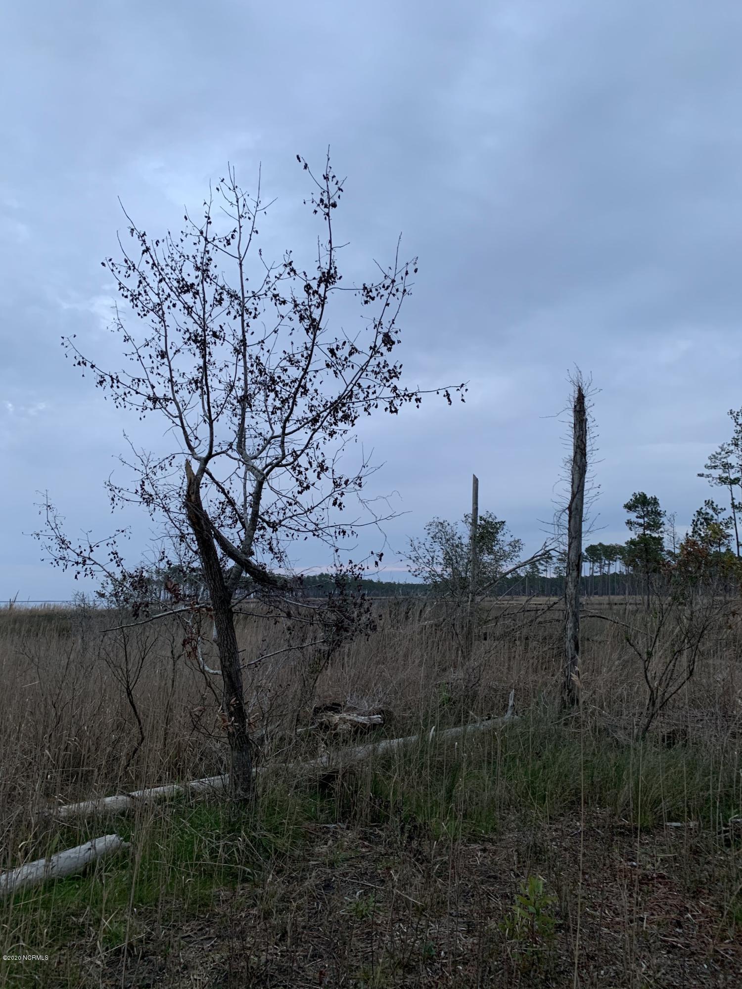Lot # State Road Aurora, NC 27806 - Photo 10 of 10 IMG_1831