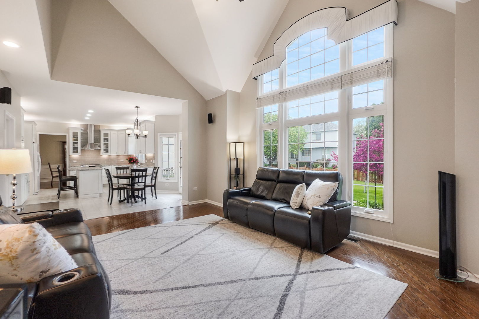 4775 Snapjack Circle Naperville, IL 60564 - Photo 23 of 55 a living room with furniture and a large window