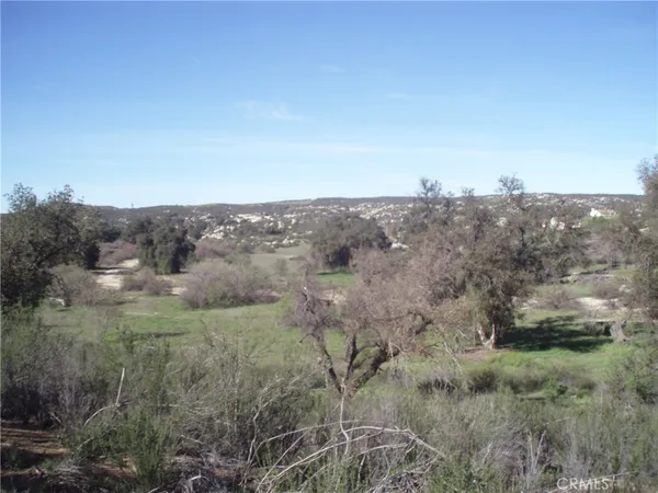an aerial view of houses covered with trees