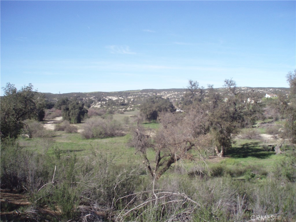 an aerial view of houses covered with trees