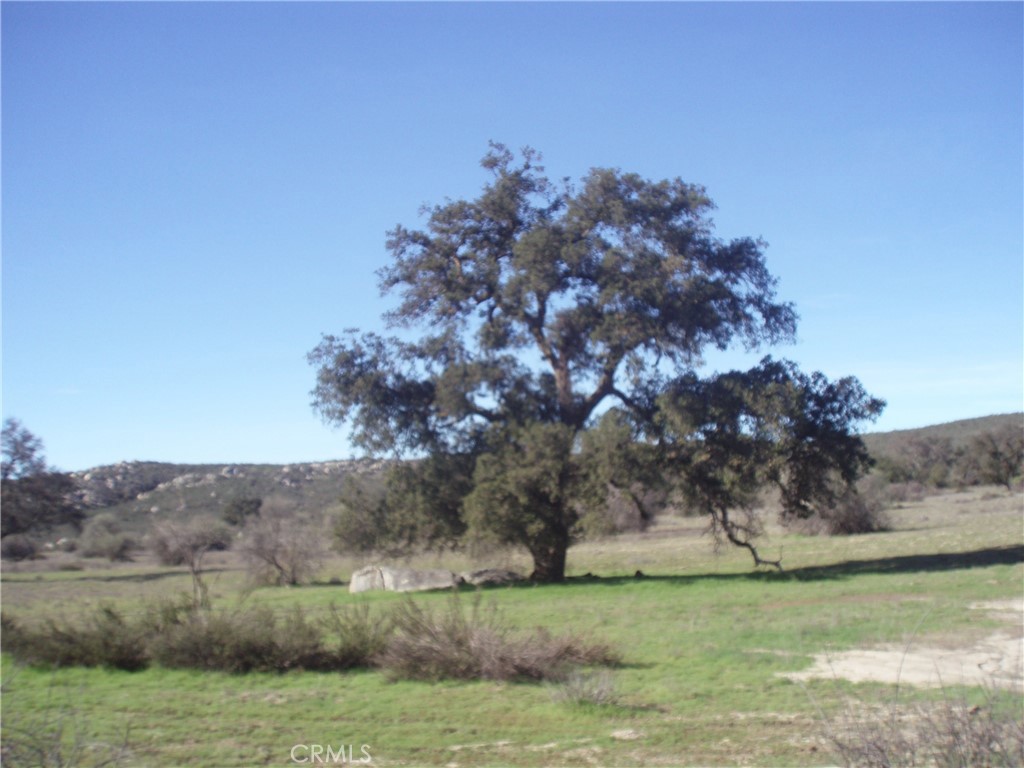 0 Willow-Canyon Road Hemet, CA 92544 - Photo 3 of 9 a view of a grassy area with an trees