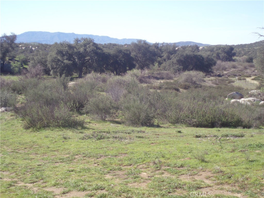 0 Willow-Canyon Road Hemet, CA 92544 - Photo 6 of 9 a view of a field with a tree in the background