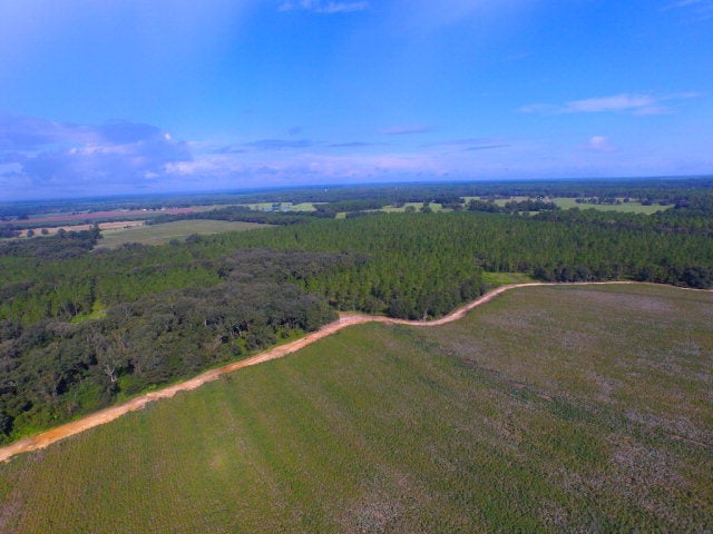 532 Grooverville Road Boston, GA 31626 - Photo 1 of 1 Main View