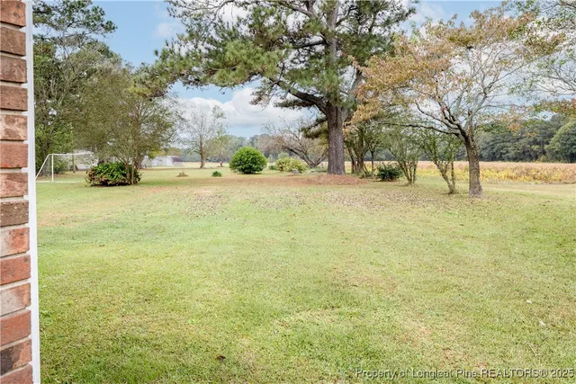 a view of yard with trees