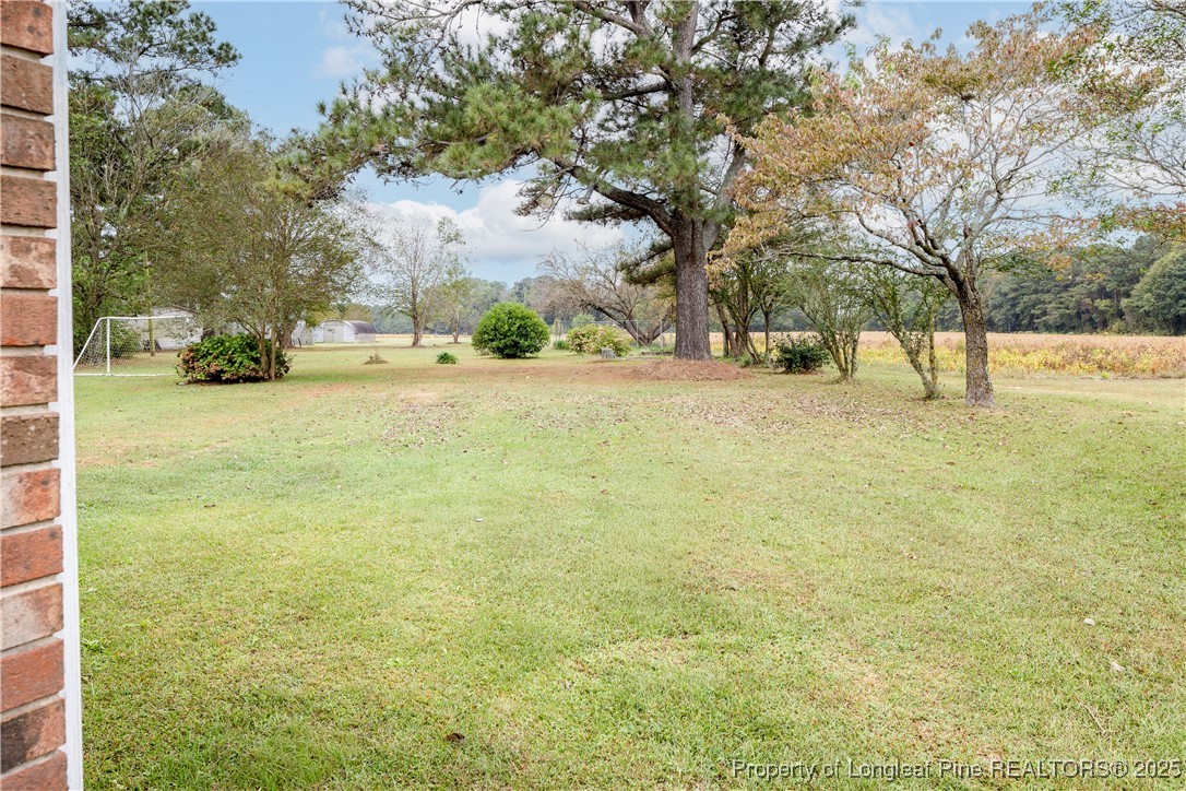 1965 Green Path Road Dunn, NC 28334 - Photo 4 of 25