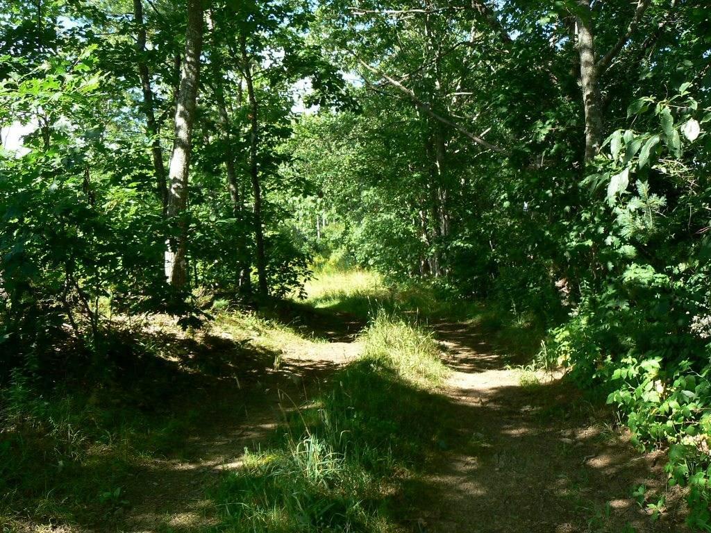 154 Dutton Road South China, ME 04358 - Photo 27 of 35 Photo