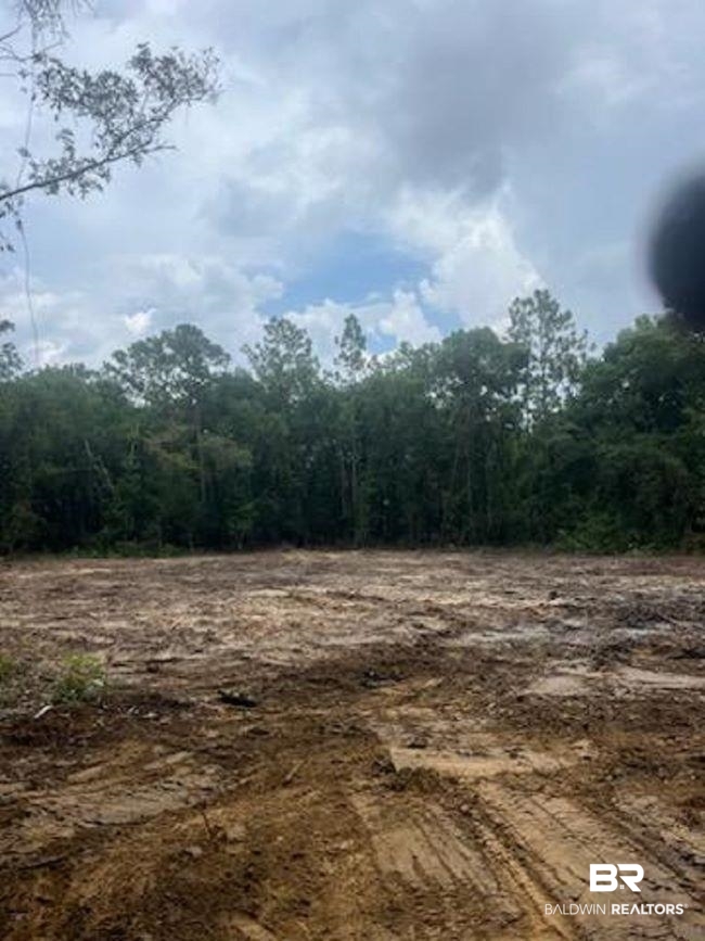 Redfish Point Road Lillian, AL 36549 - Photo 3 of 5