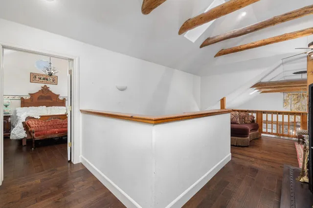 a view of a yard with plants and large trees