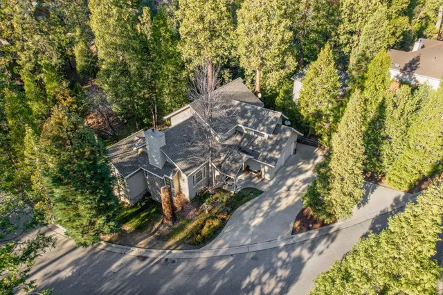 a view of a yard with plants and trees