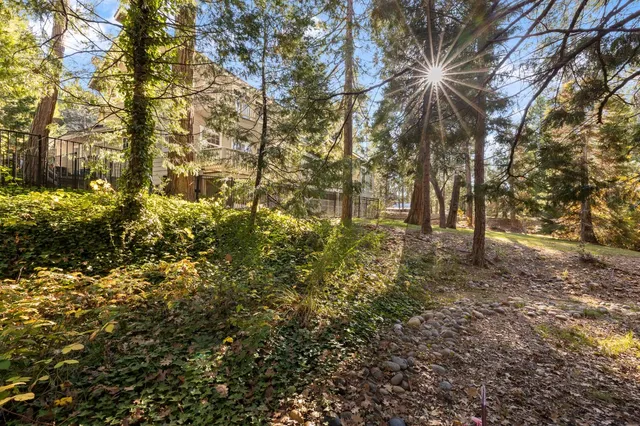 $1,235,000 | 53875 Dogwood Creek Drive, Bass Lake, CA 93604