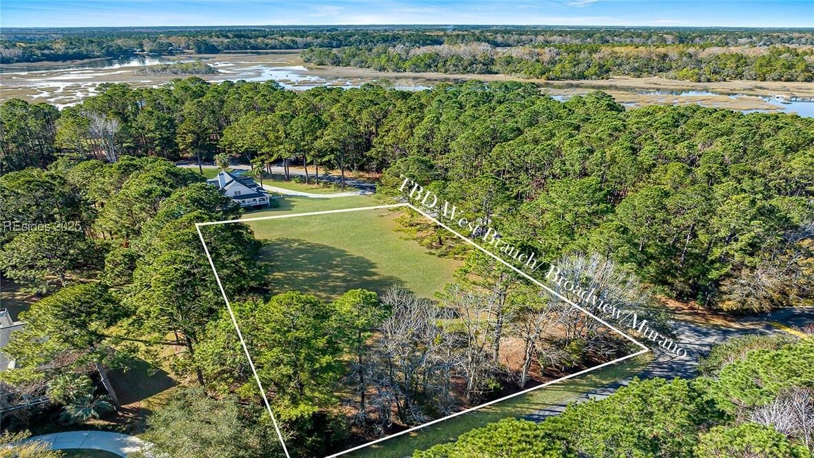 Tbd Broadview Drive Ridgeland, SC 29936 - Photo 1 of 17 Aerial View