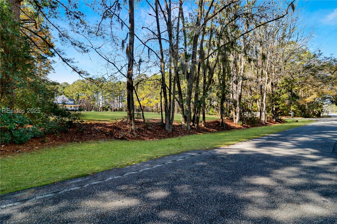 Tbd Broadview Drive Ridgeland, SC 29936 - Photo 11 of 17 View from Road