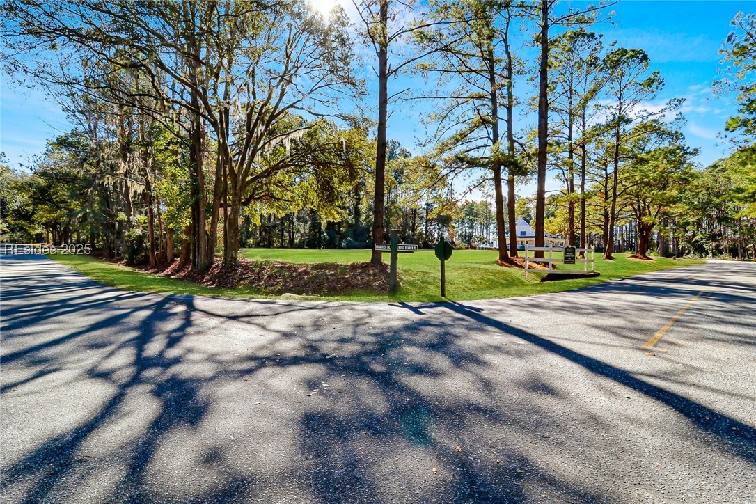Tbd Broadview Drive Ridgeland, SC 29936 - Photo 12 of 17 View from Road