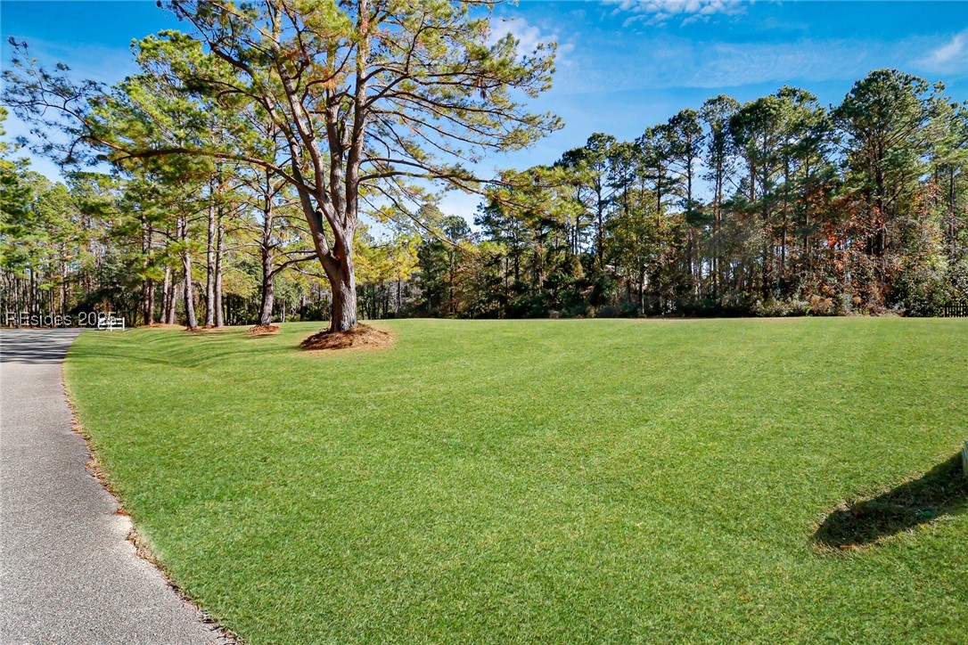 Tbd Broadview Drive Ridgeland, SC 29936 - Photo 14 of 17 Landscape