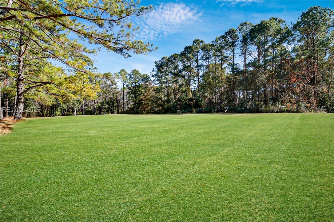 Tbd Broadview Drive Ridgeland, SC 29936 - Photo 15 of 17 Landscape