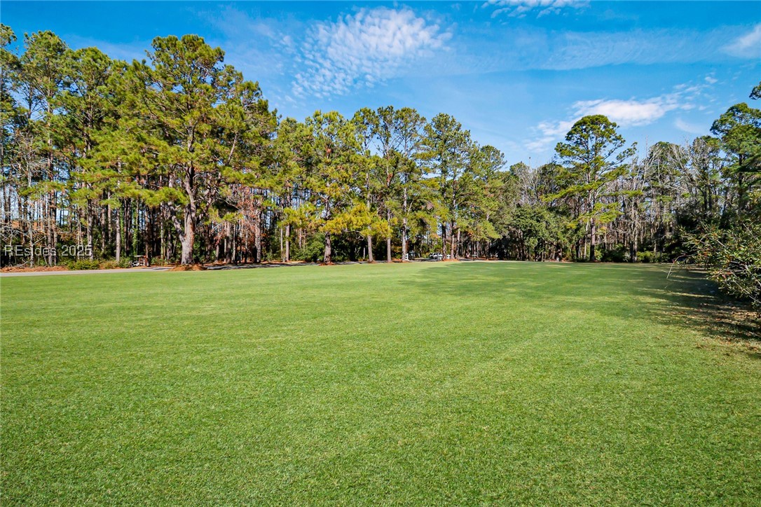 Tbd Broadview Drive Ridgeland, SC 29936 - Photo 16 of 17 Landscape