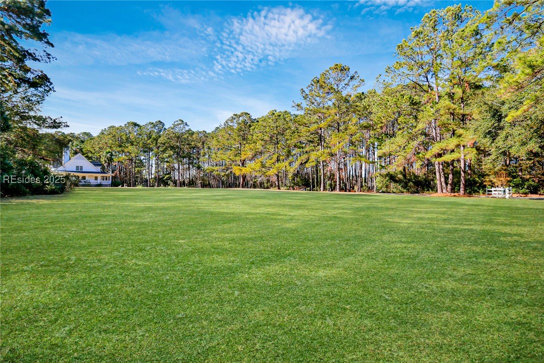 Tbd Broadview Drive Ridgeland, SC 29936 - Photo 17 of 17 Landscape