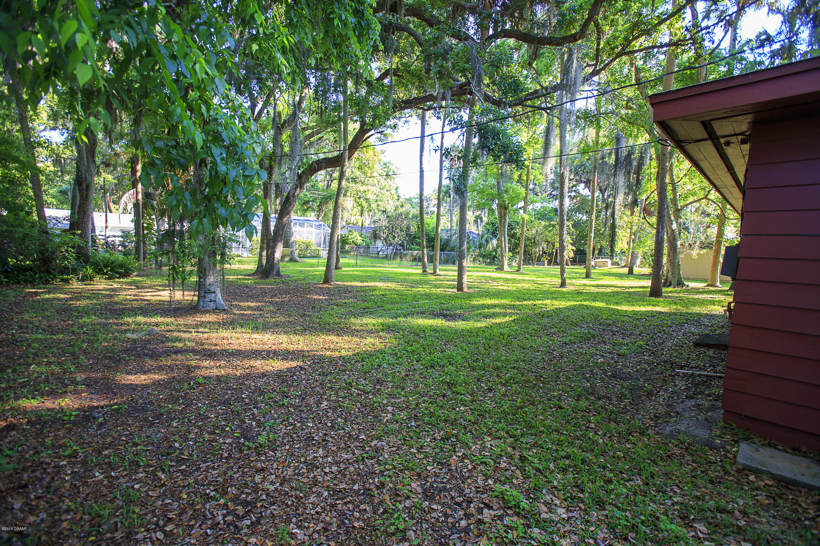 840 Pineapple Road South Daytona, FL 32119 - Photo 9 of 11 HUGE BACK YARD!