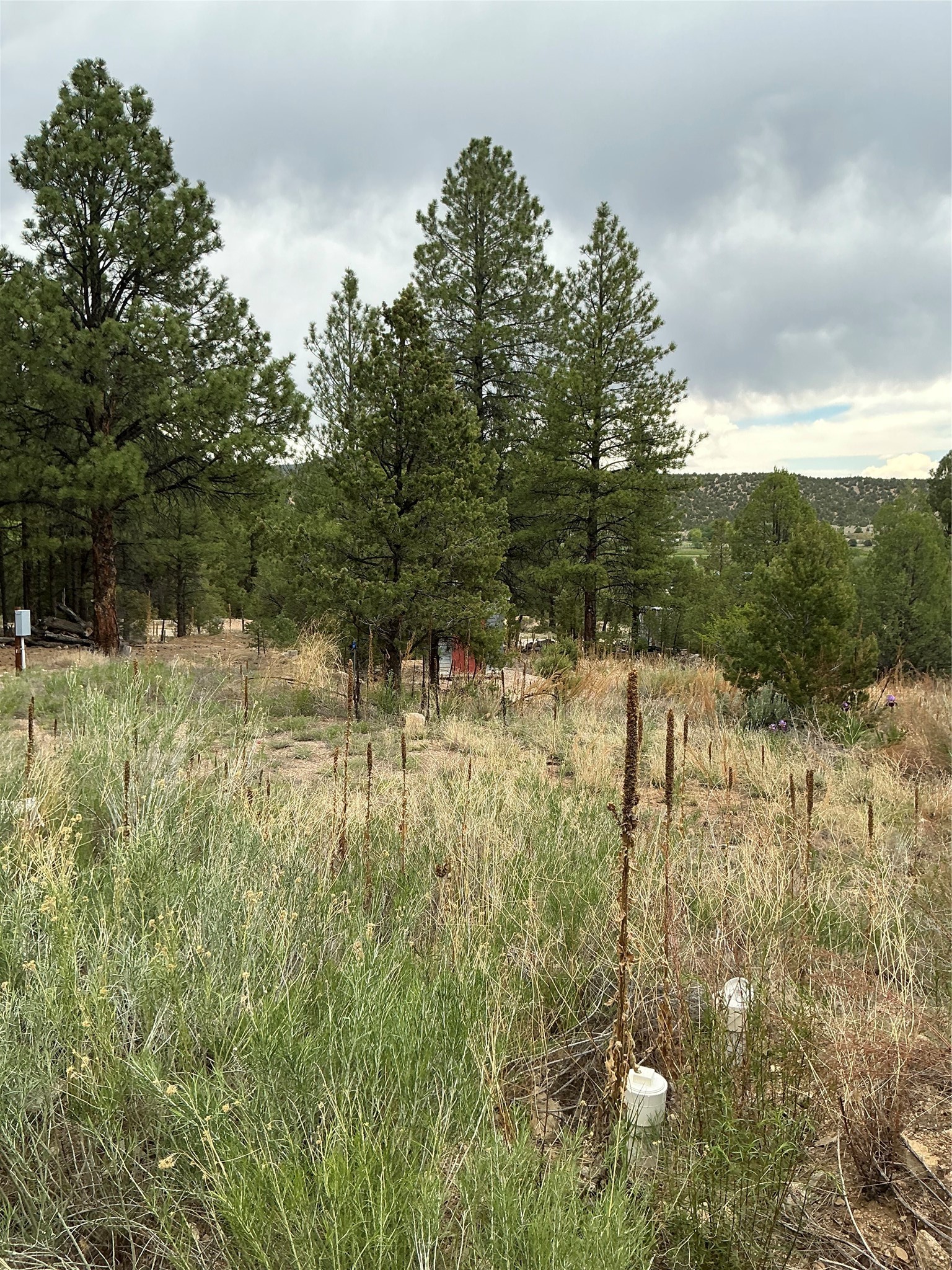 2318 Old Red River Road Questa, NM 87556 - Photo 30 of 36