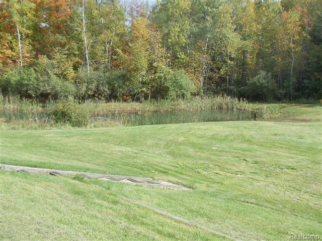 3476 Slattery Road Attica, MI 48412 - Photo 20 of 25 DSC01682 (Small)