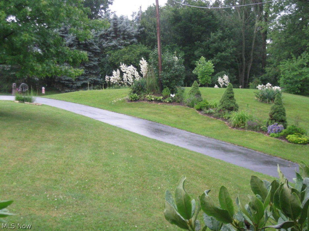 3963 State Road Medina, OH 44256 - Photo 19 of 25 View from front porch; far back from street!