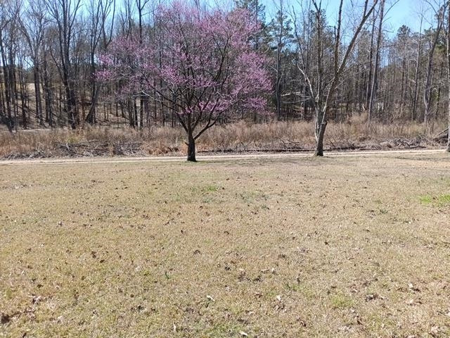 2195 Bishop Road Middleton, TN 38052 - Photo 21 of 22 Photo 21