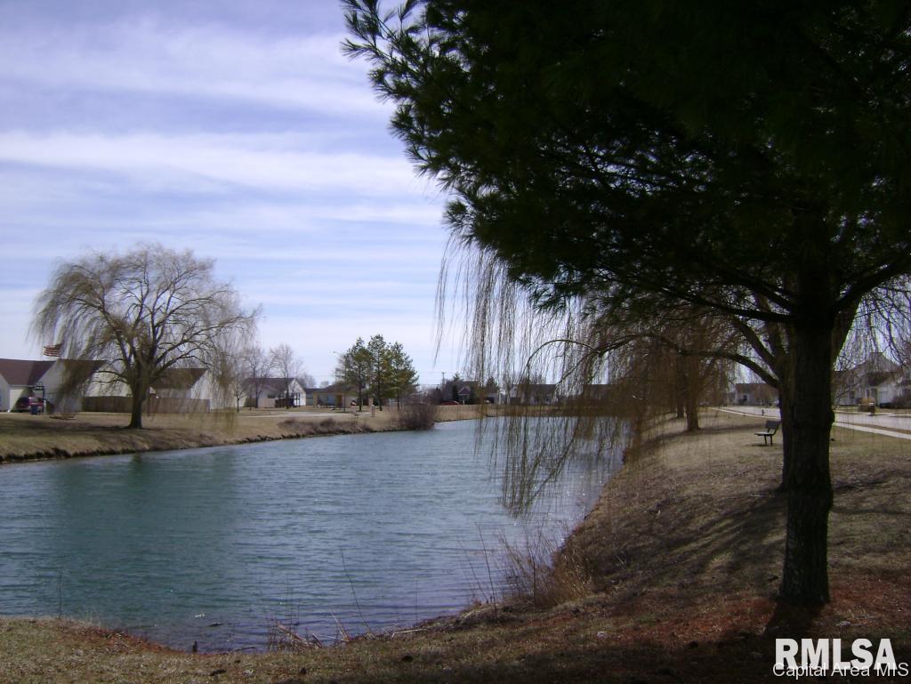 2437 Basil Drive Springfield, IL 62707 - Photo 15 of 36