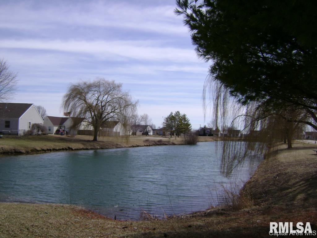 2437 Basil Drive Springfield, IL 62707 - Photo 7 of 36