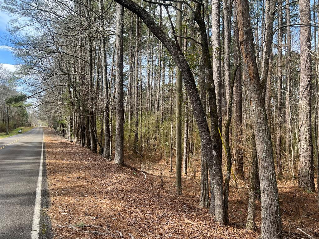 Tbd North Greensburg Road Smithdale, MS 39664 - Photo 1 of 21 Main View
