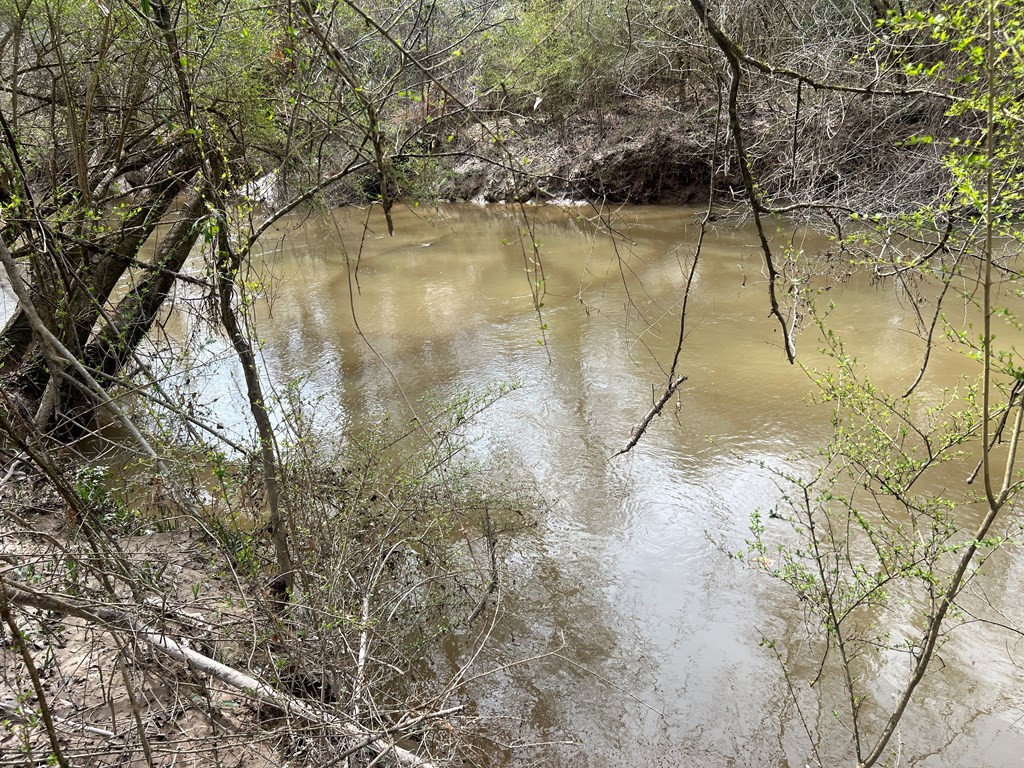 Tbd North Greensburg Road Smithdale, MS 39664 - Photo 16 of 21 Photo 16