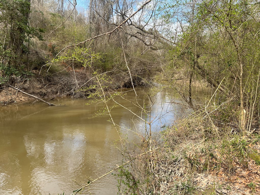 Tbd North Greensburg Road Smithdale, MS 39664 - Photo 17 of 21 Photo 17