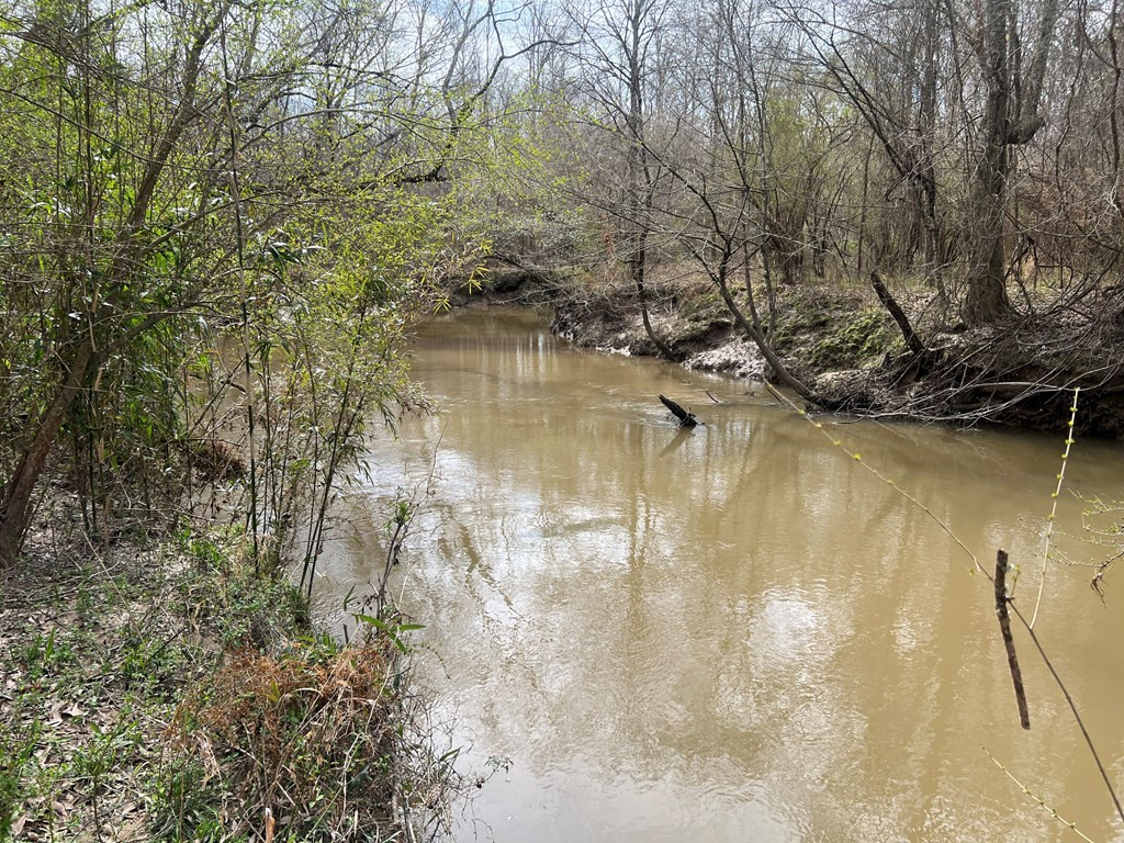 Tbd North Greensburg Road Smithdale, MS 39664 - Photo 2 of 21 Photo 2