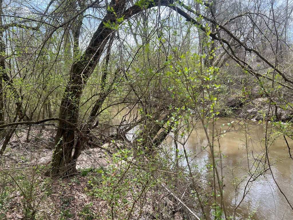 Tbd North Greensburg Road Smithdale, MS 39664 - Photo 3 of 21 Photo 3