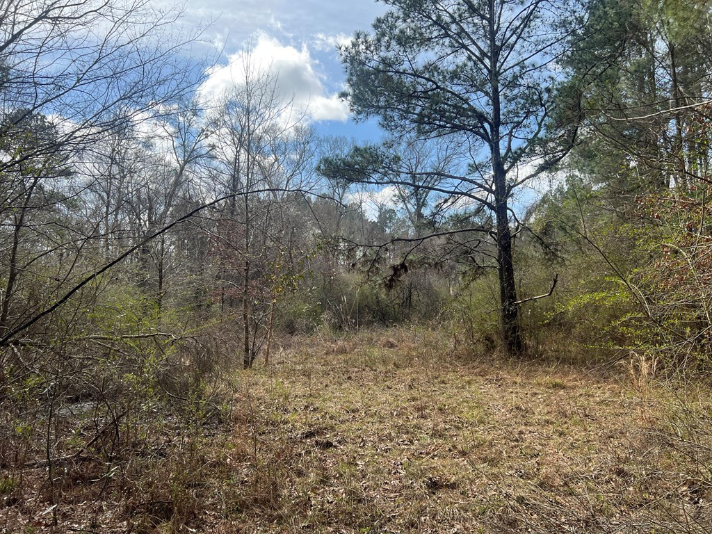 Tbd North Greensburg Road Smithdale, MS 39664 - Photo 8 of 21 Photo 8