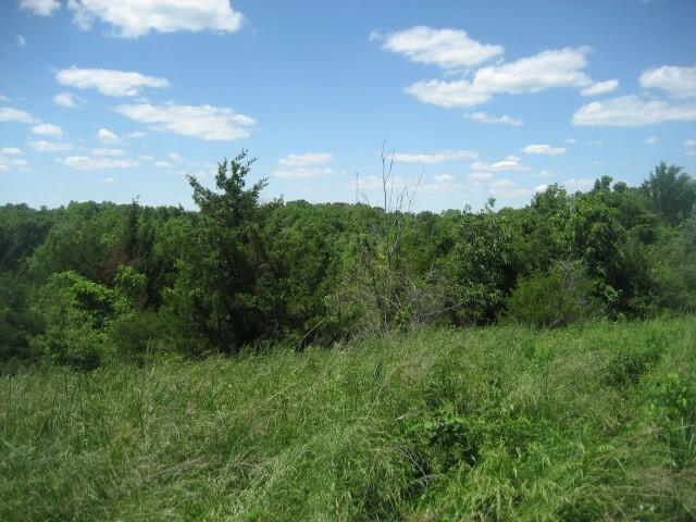 1234 C Rutherford School Road Lawrenceburg, KY 40342 - Photo 5 of 14 IMG_0428 (Small)