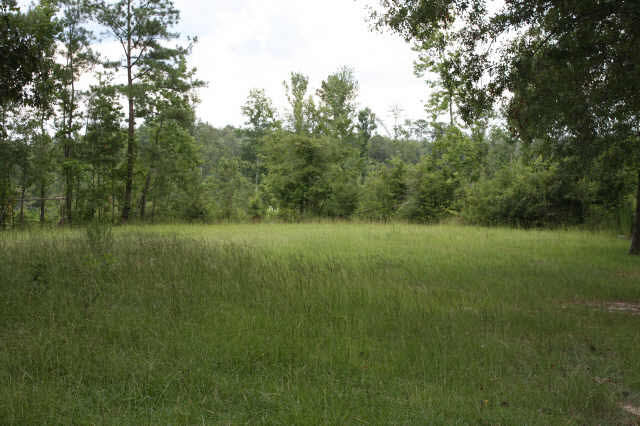 1466 Salem Rd Mount Mount Olive, MS 39119 - Photo 1 of 1 Photo 1