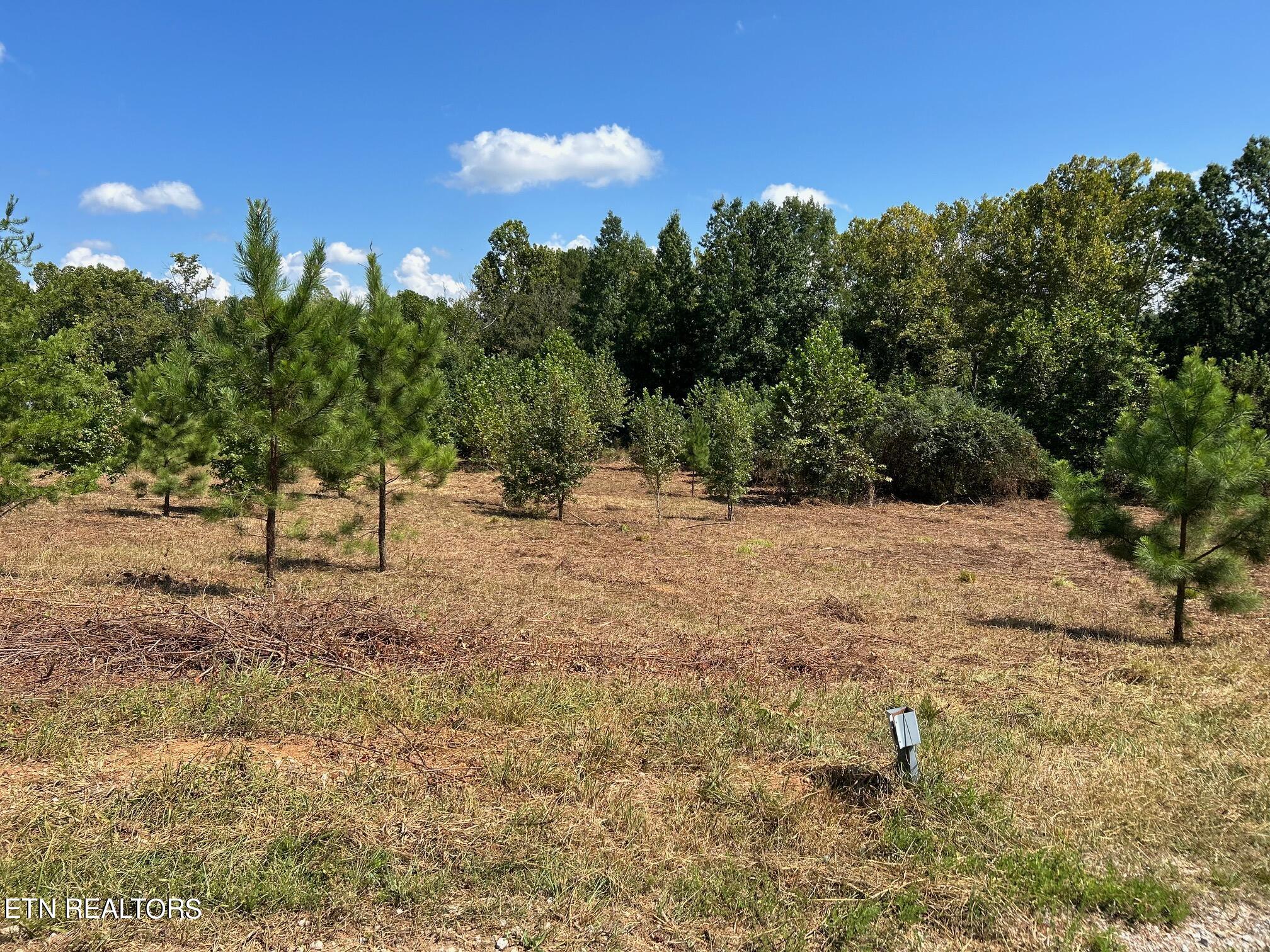 6.84-acres Cuno Lane Decatur, TN 37322 - Photo 21 of 27 IMG_2846
