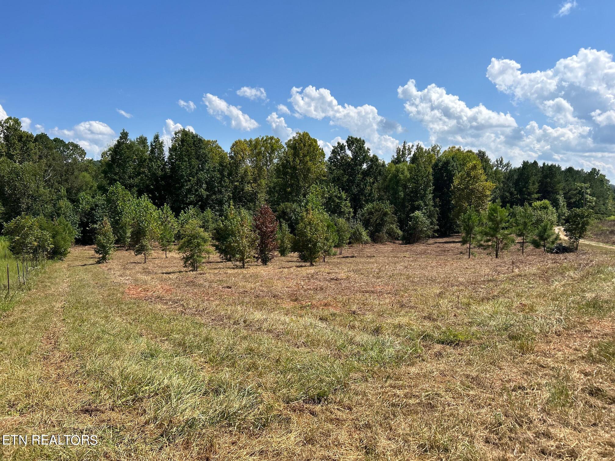 6.84-acres Cuno Lane Decatur, TN 37322 - Photo 23 of 27 71614903267__5BCF939D-E007-424E-8E25-E9D