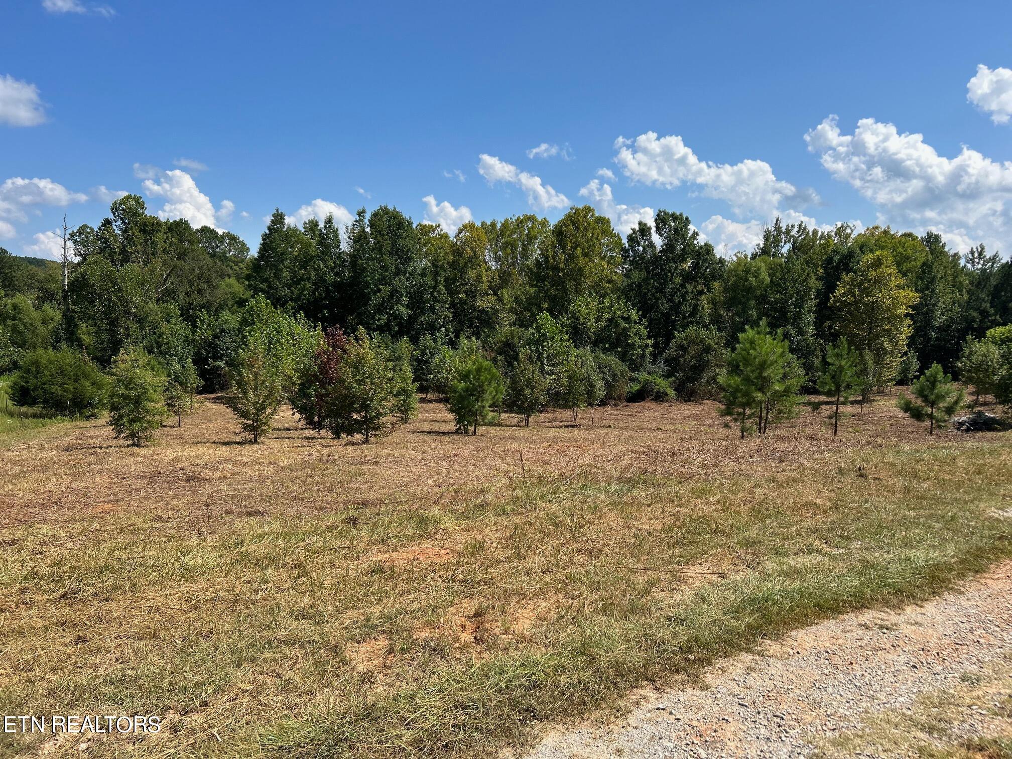 6.84-acres Cuno Lane Decatur, TN 37322 - Photo 25 of 27 71614906332__04D33E7F-329A-43A0-90E0-834