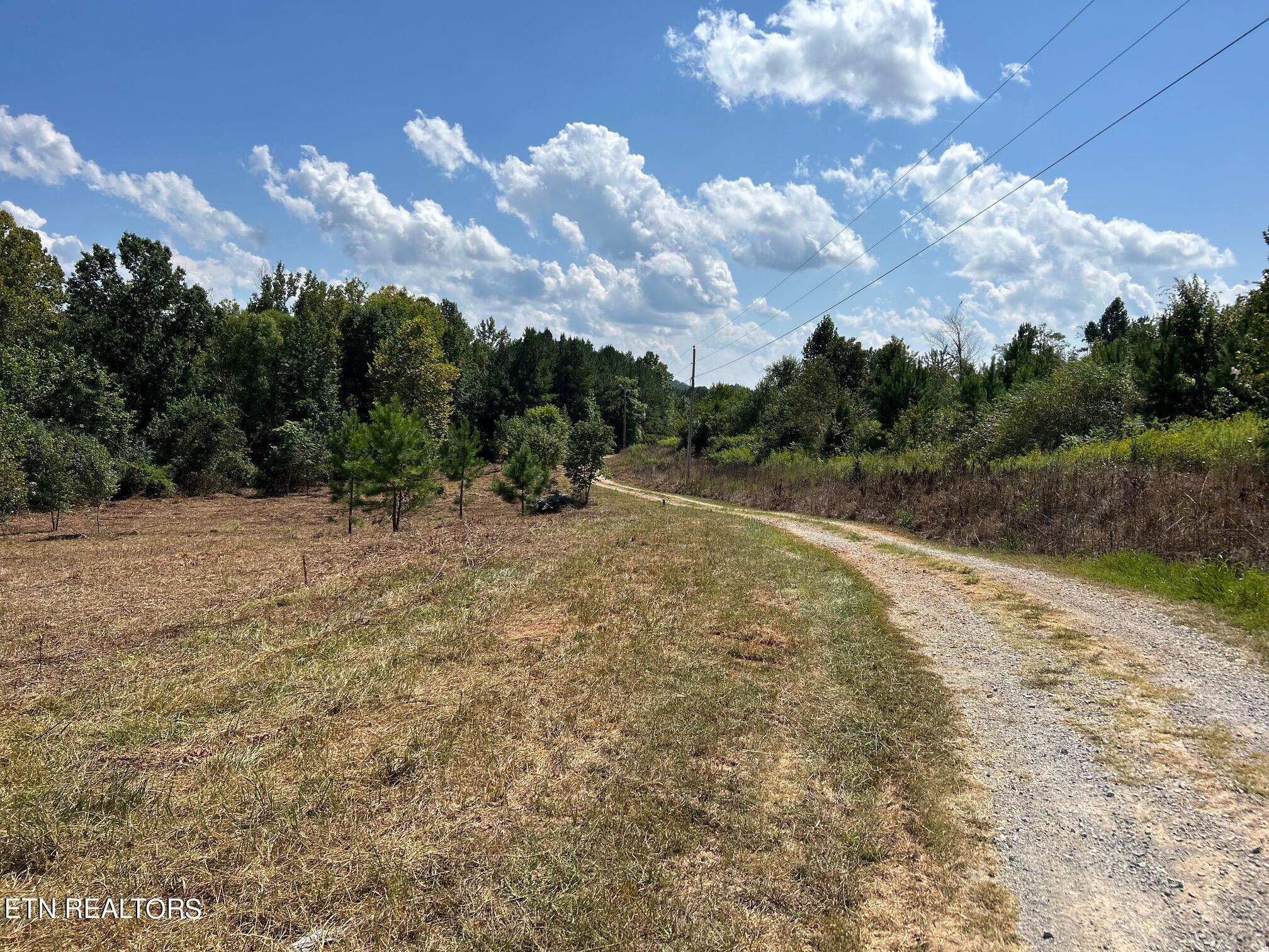 6.84-acres Cuno Lane Decatur, TN 37322 - Photo 26 of 27 IMG_2844