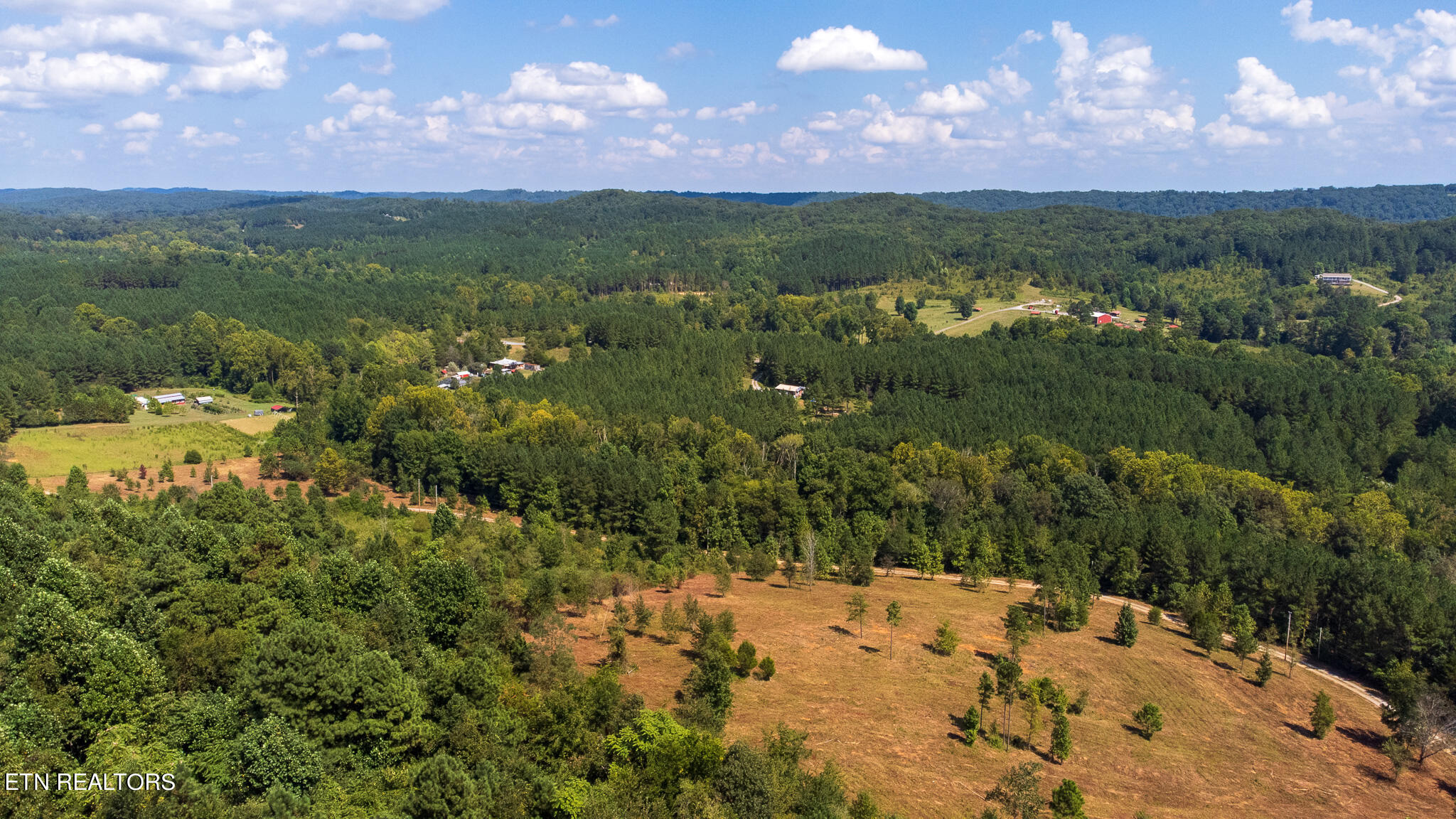 6.84-acres Cuno Lane Decatur, TN 37322 - Photo 8 of 27 DJI_0005