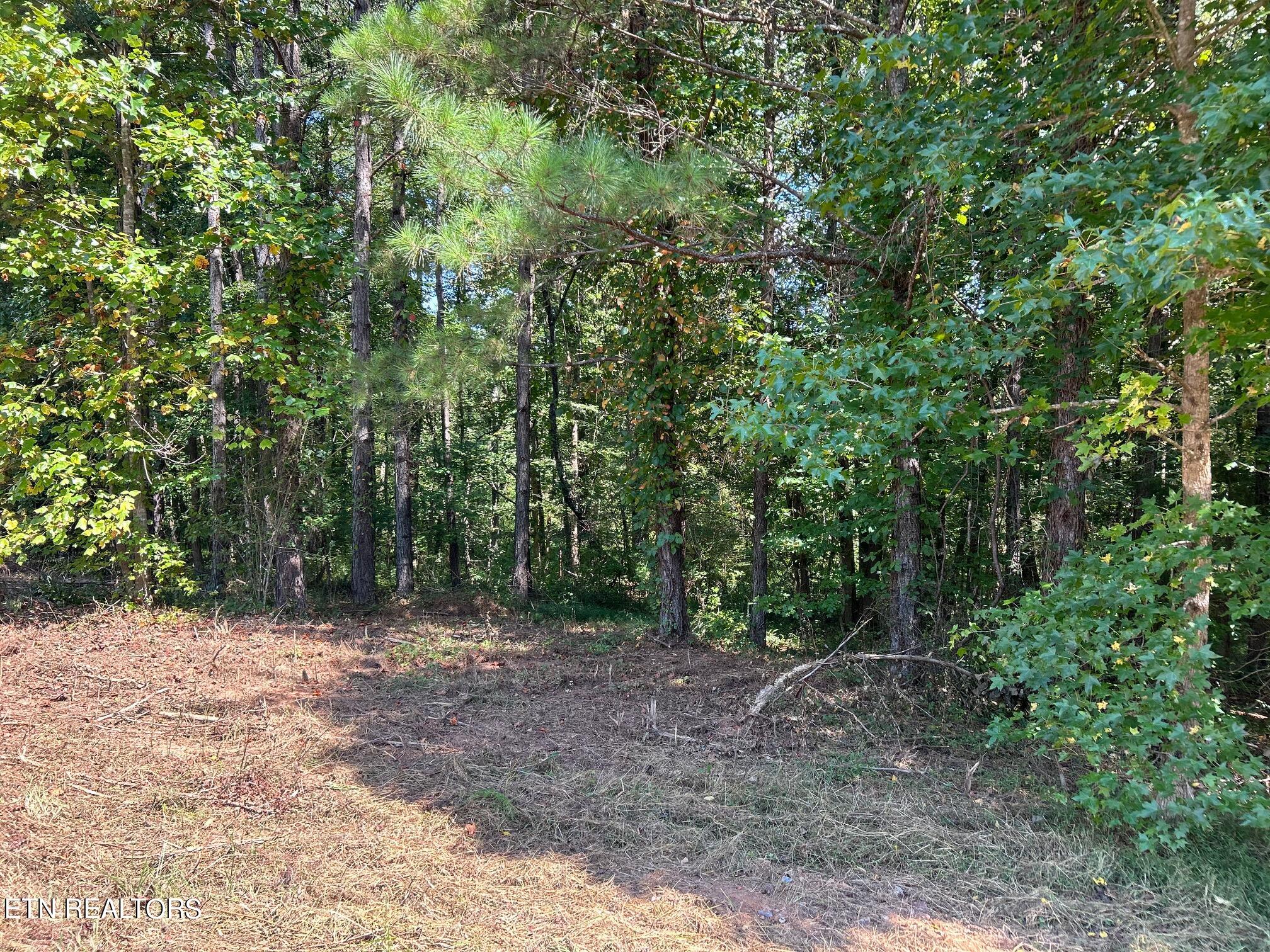 6.84-acres Cuno Lane Decatur, TN 37322 - Photo 10 of 27 IMG_2866